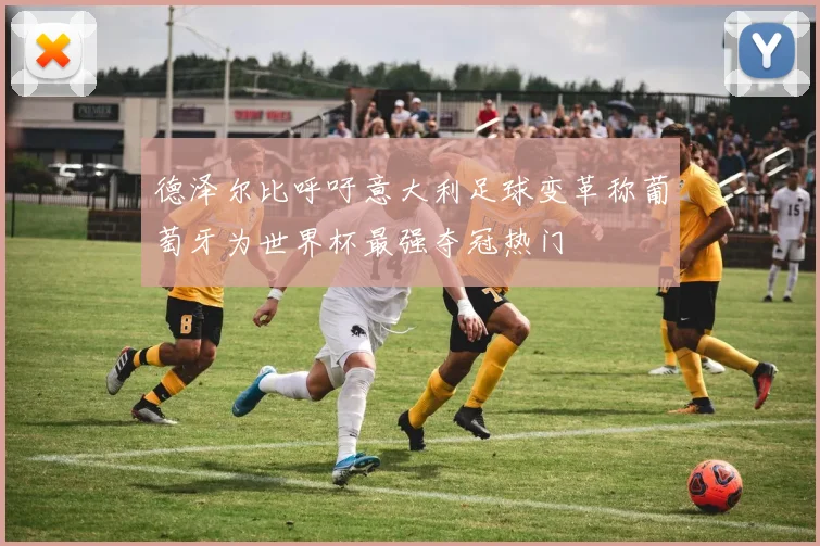 德泽尔比呼吁意大利足球变革称葡萄牙为世界杯最强夺冠热门